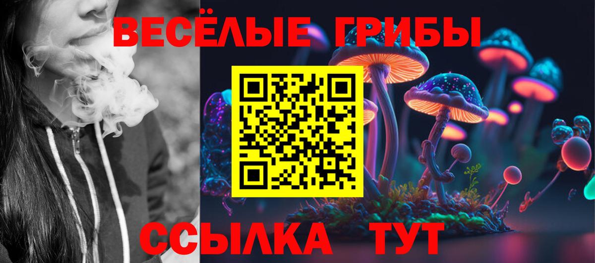 Галлюциногенные грибы Psilocybine cubensis  Галлюциногенные грибы Psilocybe  Вход с VPN  Кузнецк 