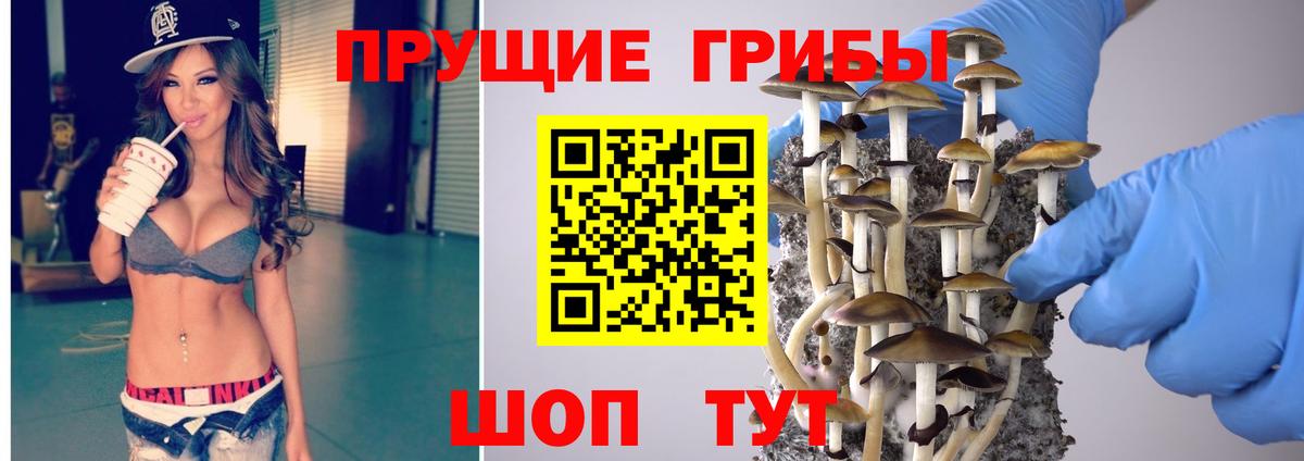 Псилоцибиновые грибы GOLDEN TEACHER Кузнецк